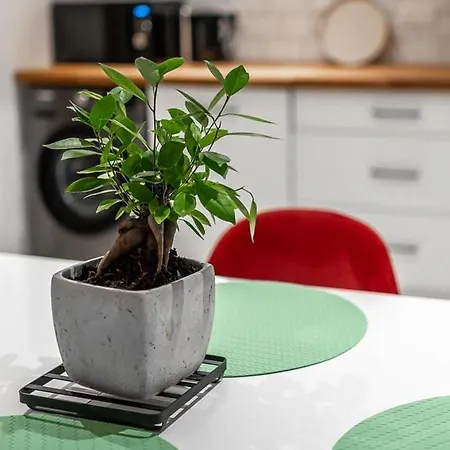 Apartamento Darja *